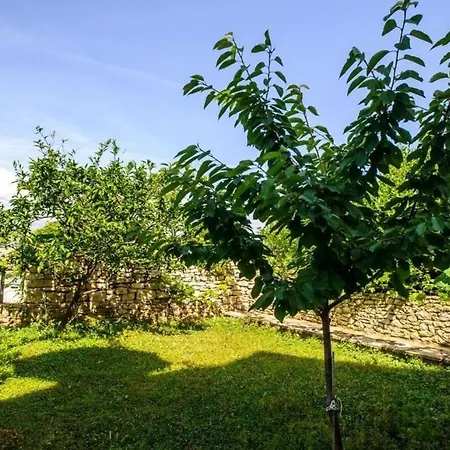 Apartments Andelka - 100M From Sea *